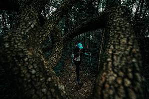 BIB: 
                            <button type="button" onclick="openModal(25691094)" class="btn btn-primary btn-sm float-right btn-popup" data-toggle="modal" data-target=".modal-high-quality">
                        <i class="fas fa-shopping-cart"></i> Add to Cart
                    </button>
                                            <button type="button" onclick="isThisMe(25691094, true)" class="btn btn-success btn-sm float-right btn-popup btn-isme hidden" data-toggle="tooltip" data-placement="bottom" title="นี่คือรูปของคุณใช่ไหม คลิกที่นี่เพื่อเอาเข้าอัลบั้ม">
                        <i class="fas fa-plus"></i> Add to album
                    </button>
                    <button type="button" onclick="isThisMe(25691094, false)" class="btn btn-warning btn-sm float-right btn-popup btn-isnotme hidden">
                        <i class="fas fa-ban"></i> Remove from album
                    </button>